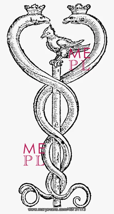 : alchemy, symbols, Caduceus, copper engraving : alchemy, symbols, Caduceus, copper engraving
