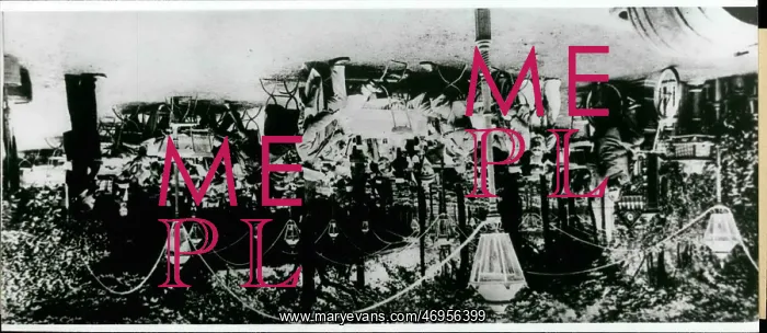 : Alcohol - Prohibition : Alcohol - Prohibition