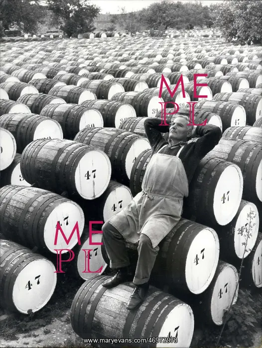 : Alcohol - Prohibition : Alcohol - Prohibition