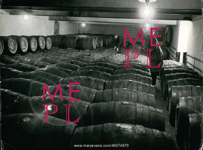 : Alcohol - Prohibition : Alcohol - Prohibition