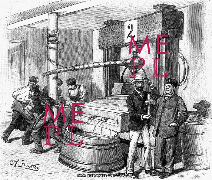 : alcohol, wine, production, pressurage of grapes : alcohol, wine, production, pressurage of grapes
