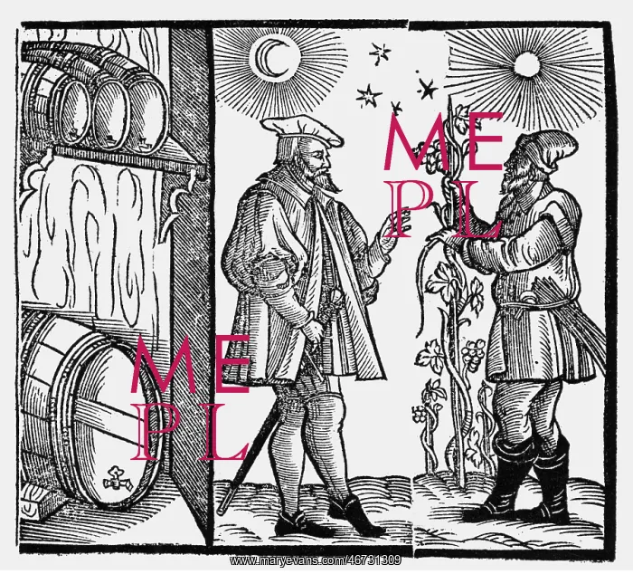: alcohol, wine, production, storage of wine and : alcohol, wine, production, storage of wine and