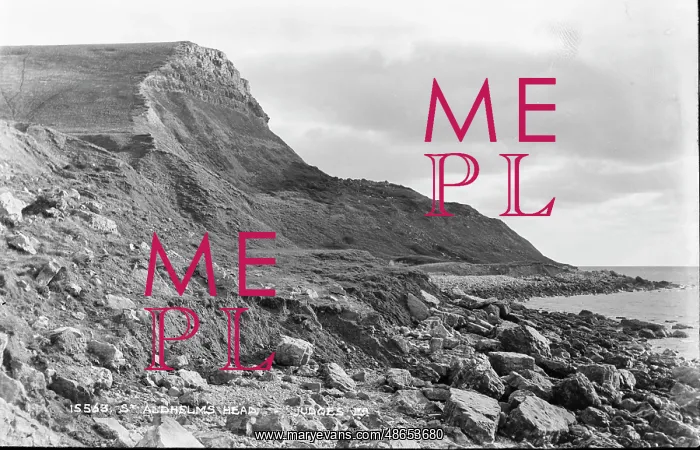 : Aldhelms Head : Aldhelms Head