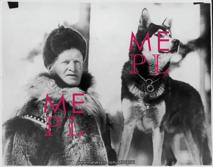 : ALEC ALLAN AND HUSKY : ALEC ALLAN AND HUSKY