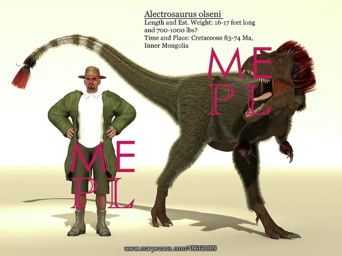 : Alectrosaurus dinosaur size reference chart : Alectrosaurus dinosaur size reference chart