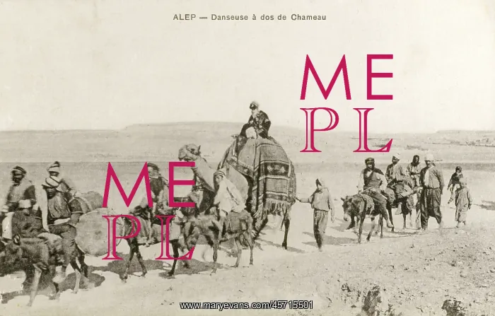  : Aleppo, Syria - Dancer travelling by Camel