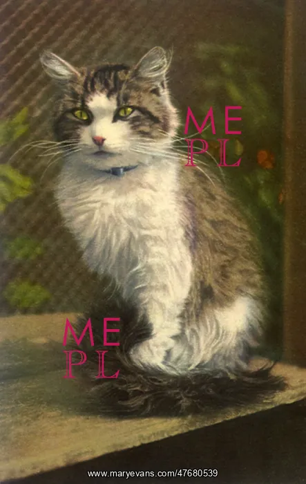  : Alert Cat
