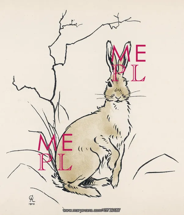 : Alert hare : Alert hare
