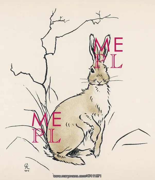 : Alert hare : Alert hare