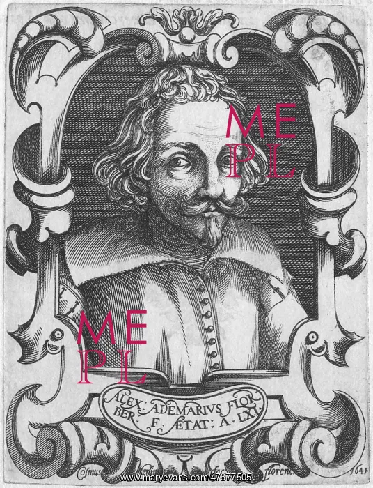: ALESSANDRO ADIMARI : ALESSANDRO ADIMARI