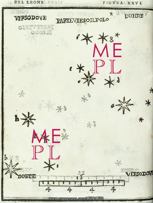 : Alessandro Piccolomini (1508-1578). Leo constellation : Alessandro Piccolomini (1508-1578). Leo constellation