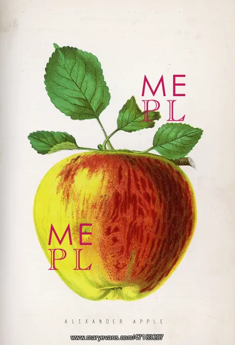  : ALEXANDER APPLE 1871