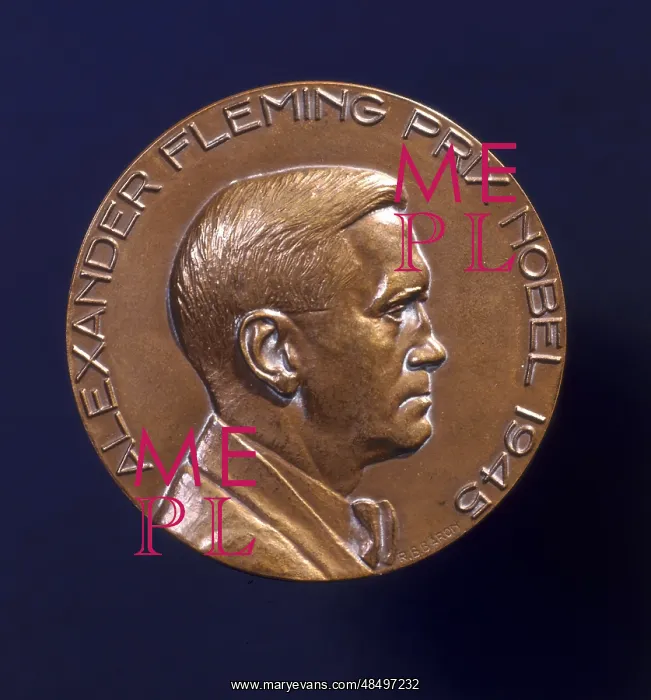 : Alexander Fleming (1881-1955) Scottish bacteriologist : Alexander Fleming (1881-1955) Scottish bacteriologist