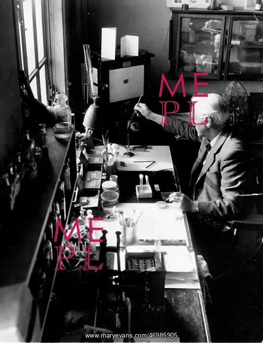 : Alexander Fleming, biologist and pharmacologist : Alexander Fleming, biologist and pharmacologist