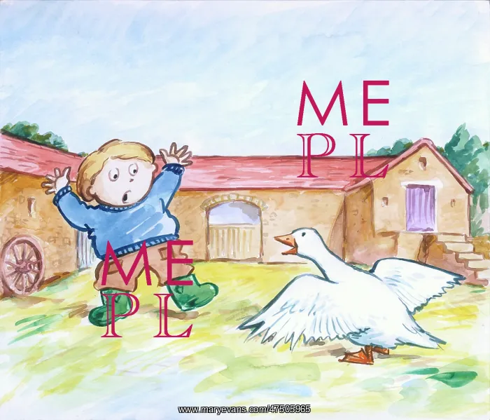 : Alexander and the Gander by Martin Wright : Alexander and the Gander by Martin Wright