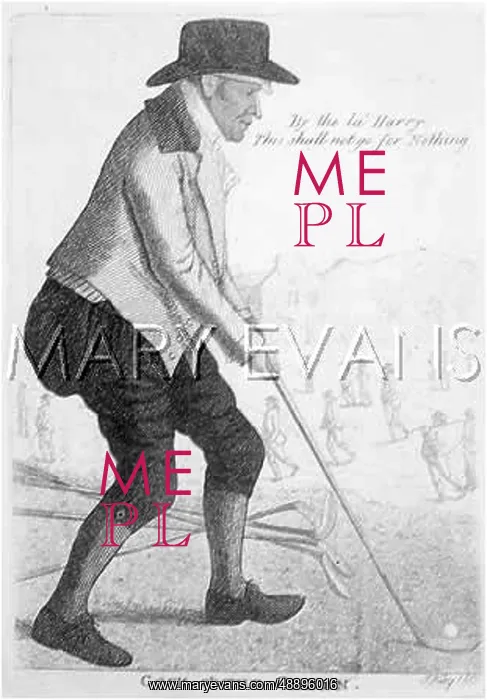  : ALEXANDER MACKELLAR