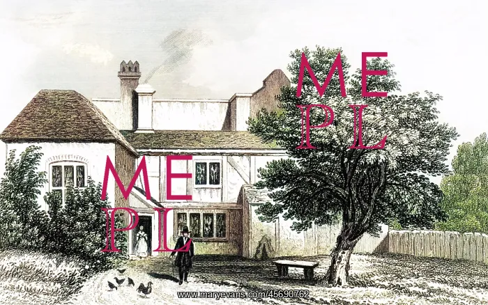 : ALEXANDER POPE / BINFIELD : ALEXANDER POPE / BINFIELD