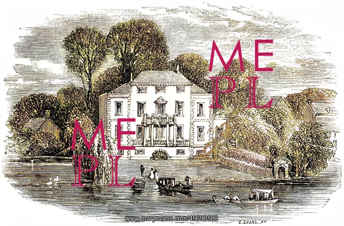 : ALEXANDER POPE / HOUSE : ALEXANDER POPE / HOUSE