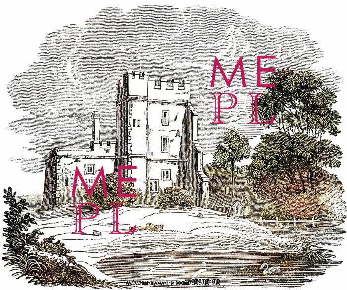 : ALEXANDER POPE / STANTON : ALEXANDER POPE / STANTON