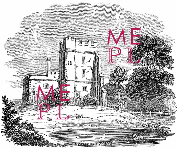 : ALEXANDER POPE / STANTON : ALEXANDER POPE / STANTON