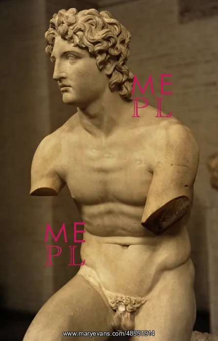 : Alexander Rondanini. 4th century BC : Alexander Rondanini. 4th century BC