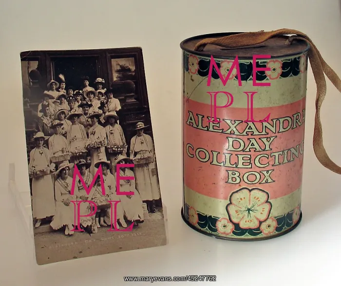 : Alexandra Day Collecting Box : Alexandra Day Collecting Box
