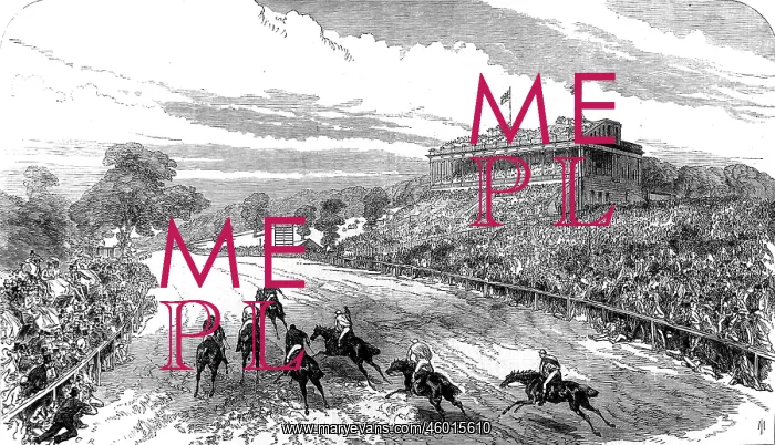 : The Alexandra Park Races 1868 : The Alexandra Park Races 1868