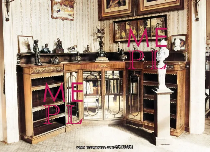 : ALEXANDRA'S BOOKCASE : ALEXANDRA'S BOOKCASE