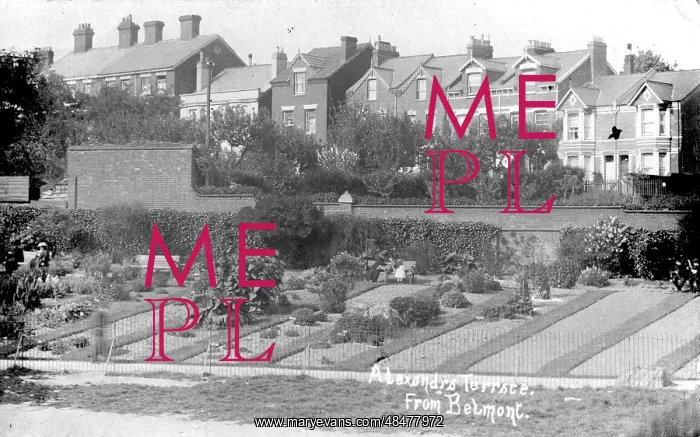 : Alexanrda Terrace from Belmont, Exeter, Devon : Alexanrda Terrace from Belmont, Exeter, Devon