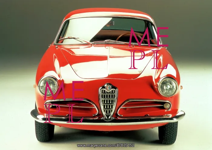  : Alfa Romeo 1900SS