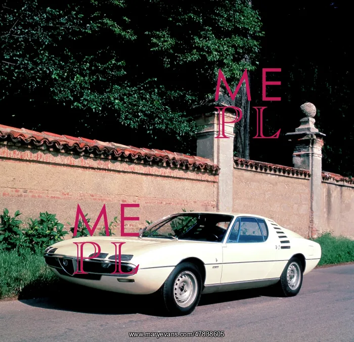: Alfa Romeo Montreal : Alfa Romeo Montreal