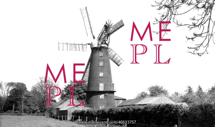 : Alford, the Mill c1955 : Alford, the Mill c1955