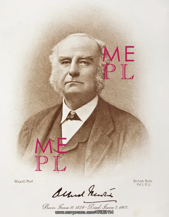 : Alfred Newton : Alfred Newton