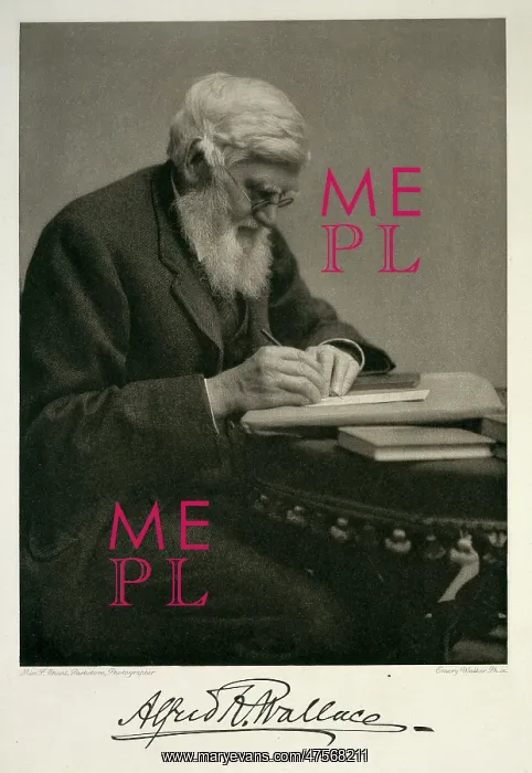 : Alfred Russel Wallace (1823-1913) : Alfred Russel Wallace (1823-1913)
