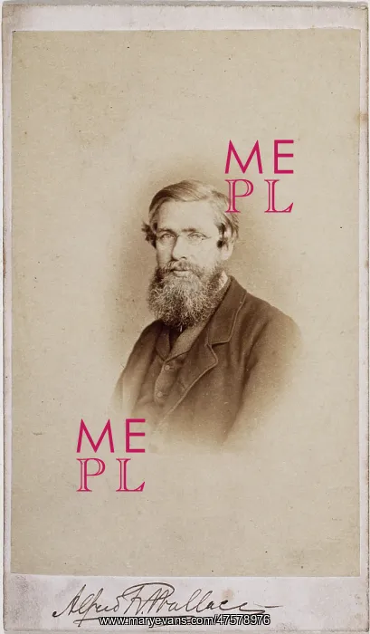 : Alfred Russel Wallace (1823-1913) : Alfred Russel Wallace (1823-1913)