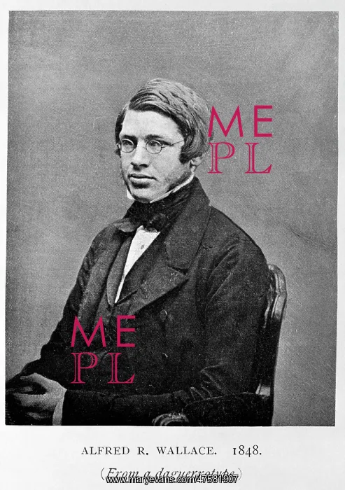 : Alfred Russel Wallace (1823-1913) : Alfred Russel Wallace (1823-1913)
