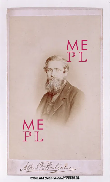 : Alfred Russel Wallace (1823-1913) : Alfred Russel Wallace (1823-1913)
