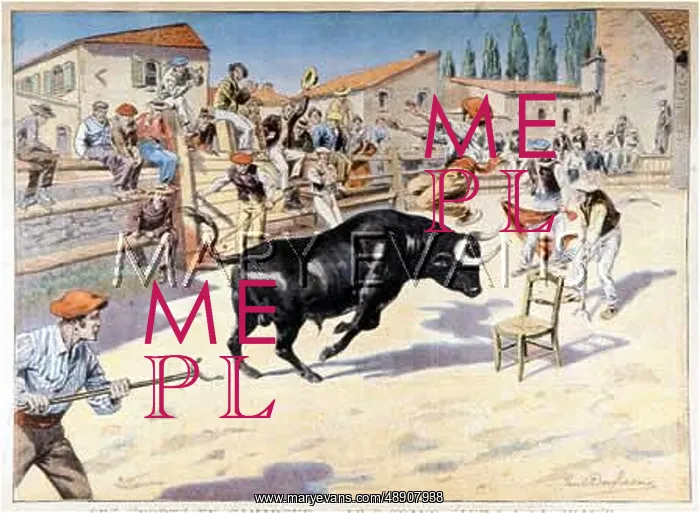 : ALFRESCO BULLFIGHT : ALFRESCO BULLFIGHT