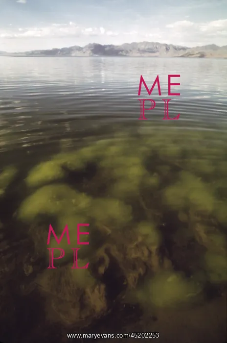 : Algae growth in one of the shallow bays ? : Algae growth in one of the shallow bays ?