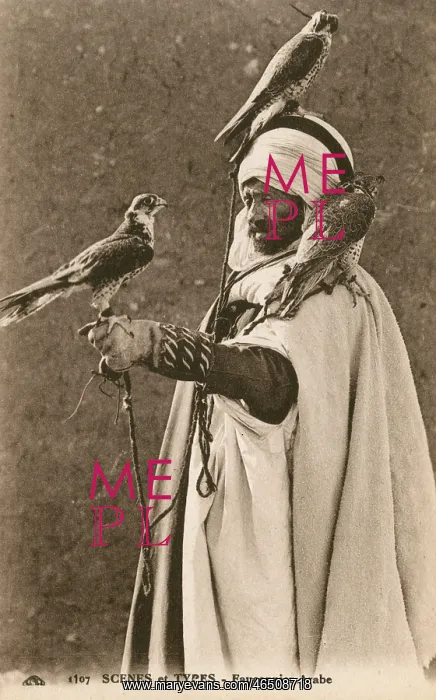 : Algeria - Arabian Falconer : Algeria - Arabian Falconer