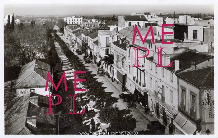  : Algeria - Blida - Boulevard Trumelet