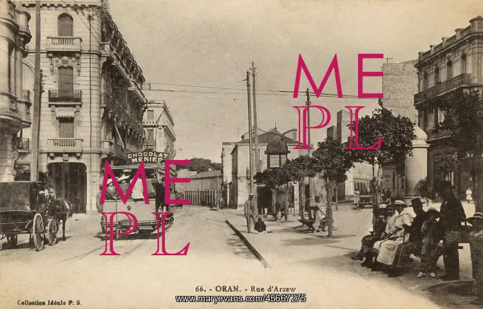  : Algeria - Oran - Rue d'Arzew