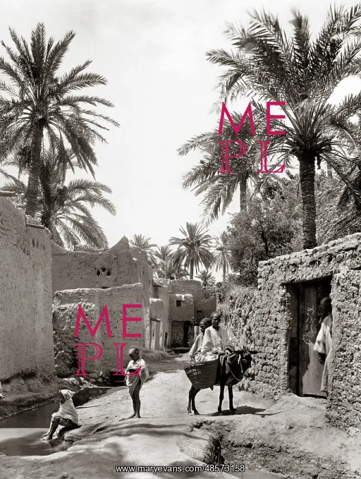  : Algeria, a street in old Biskra