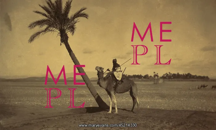 : Algerian camel rider next to a palm tree ? : Algerian camel rider next to a palm tree ?