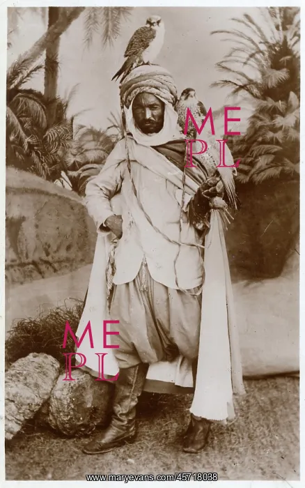: An Algerian Falconer : An Algerian Falconer