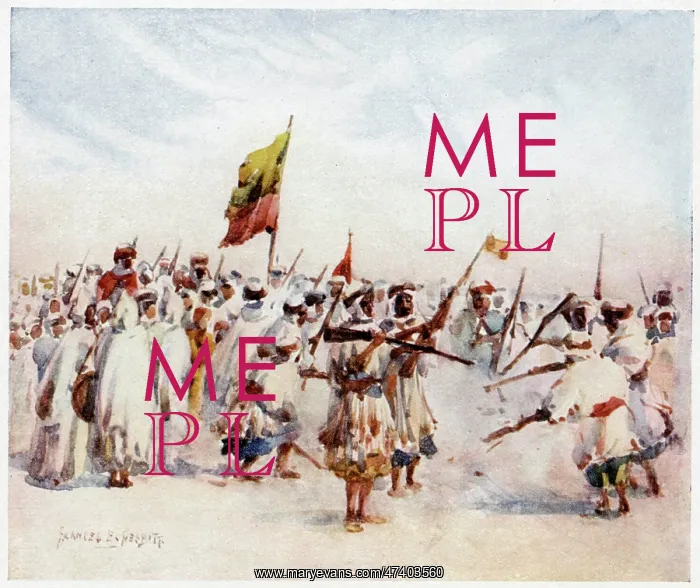 : ALGERIAN FANTASIA : ALGERIAN FANTASIA