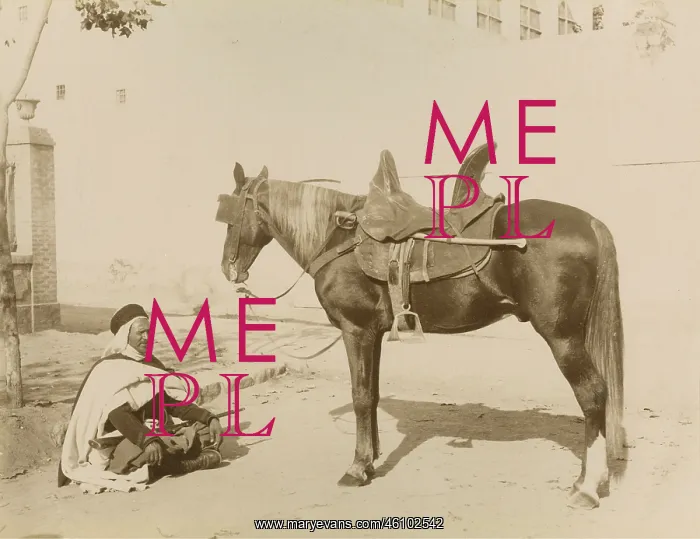 : An Algerian with his horse. Algiers. Algeria : An Algerian with his horse. Algiers. Algeria