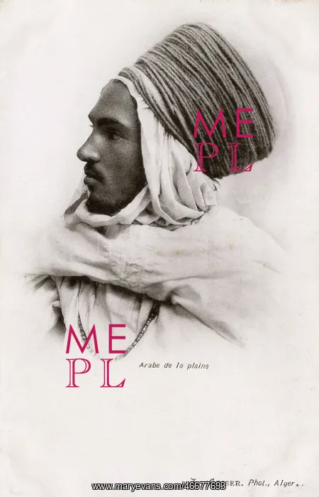  : An Algerian Lowland Arab in profile