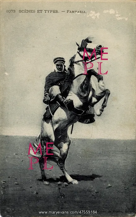 : Algerian soldier on horseback : Algerian soldier on horseback