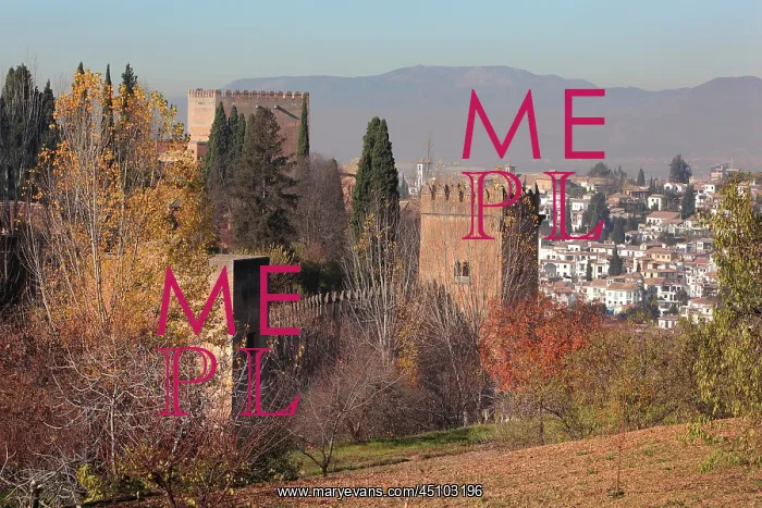 : Alhambra, Granada, Andalusia, Spain : Alhambra, Granada, Andalusia, Spain